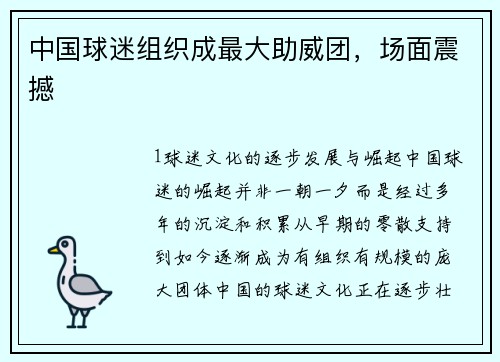 中国球迷组织成最大助威团，场面震撼
